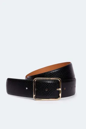 Ballarat Belt Brown Earth