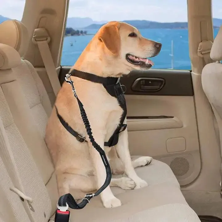 Ensure Your Dog's Safety with Our Dog Seat Belt
