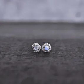 Minimal - Moonstone Studs