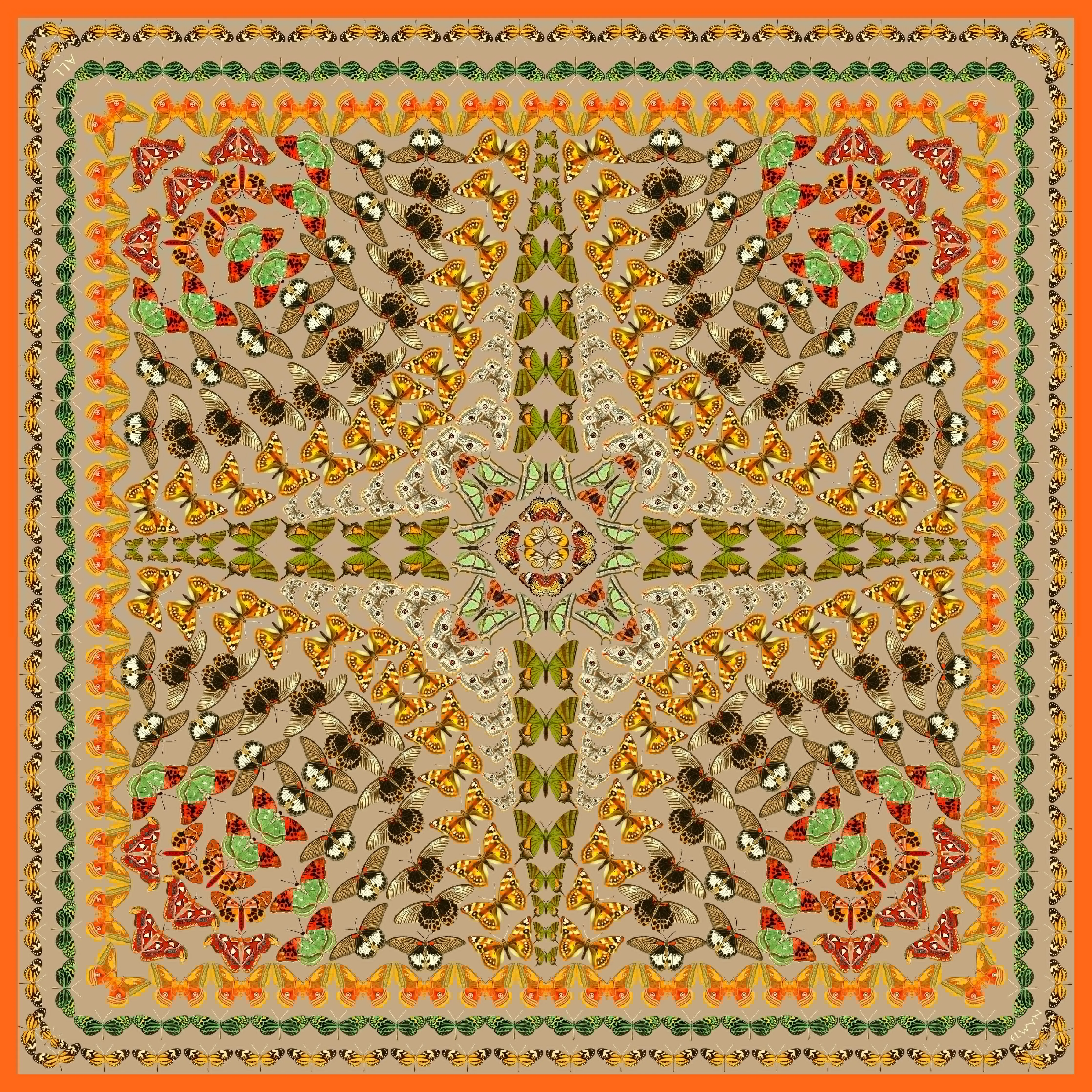 Personalized Aztec Butterfly Scarf