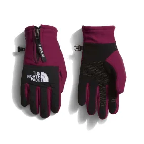 The North Face Denali Etip Glove