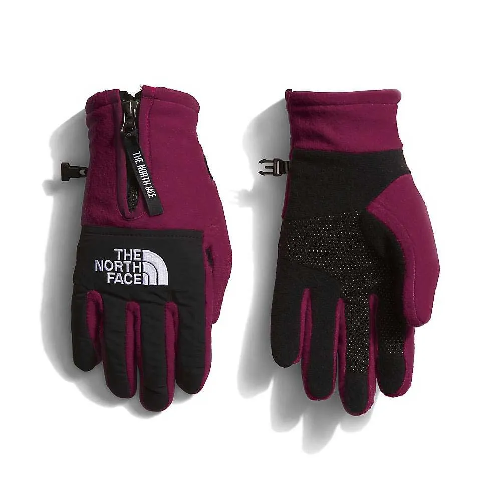 The North Face Denali Etip Glove